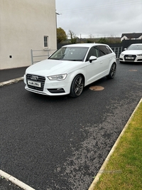 Audi A3 1.6 TDI 110 SE Technik 5dr in Tyrone