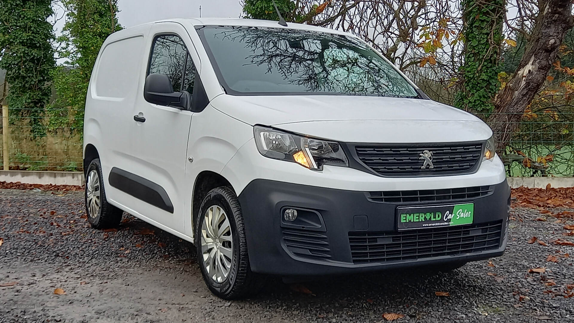 Peugeot Partner STANDARD DIESEL in Tyrone