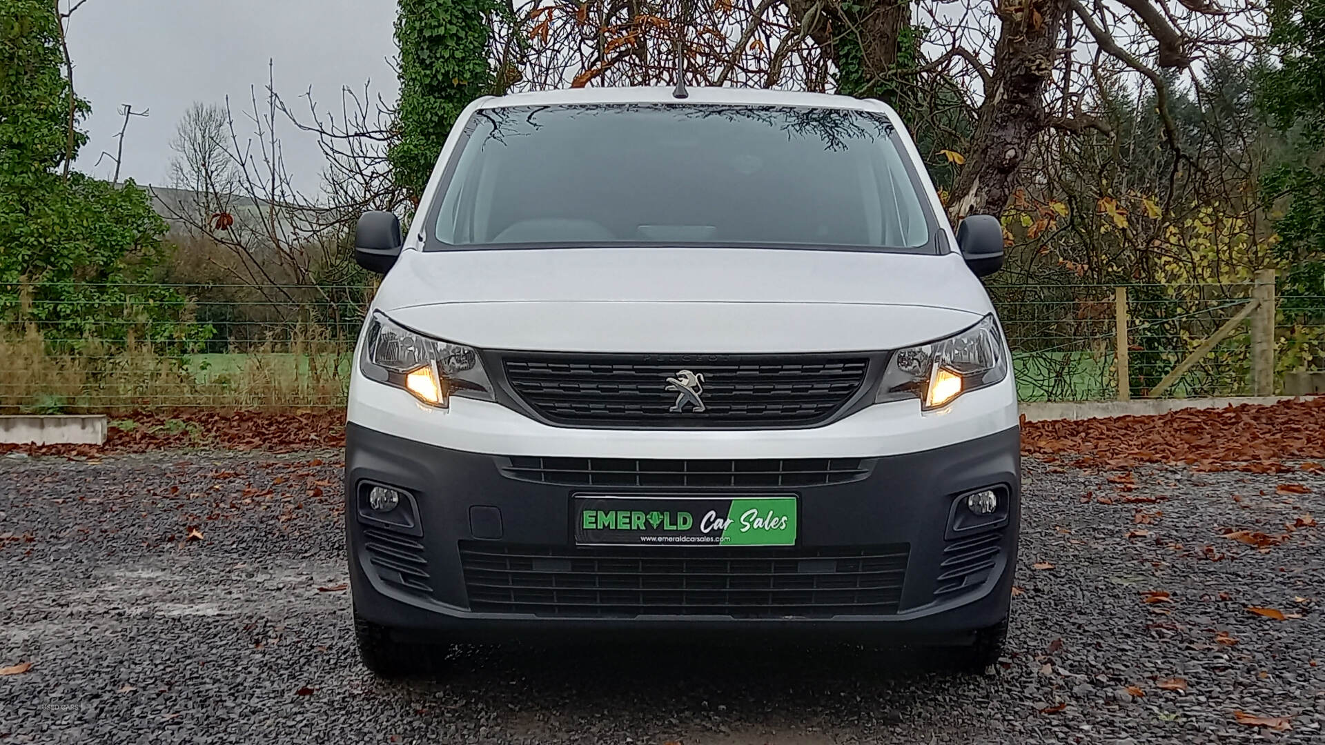 Peugeot Partner STANDARD DIESEL in Tyrone