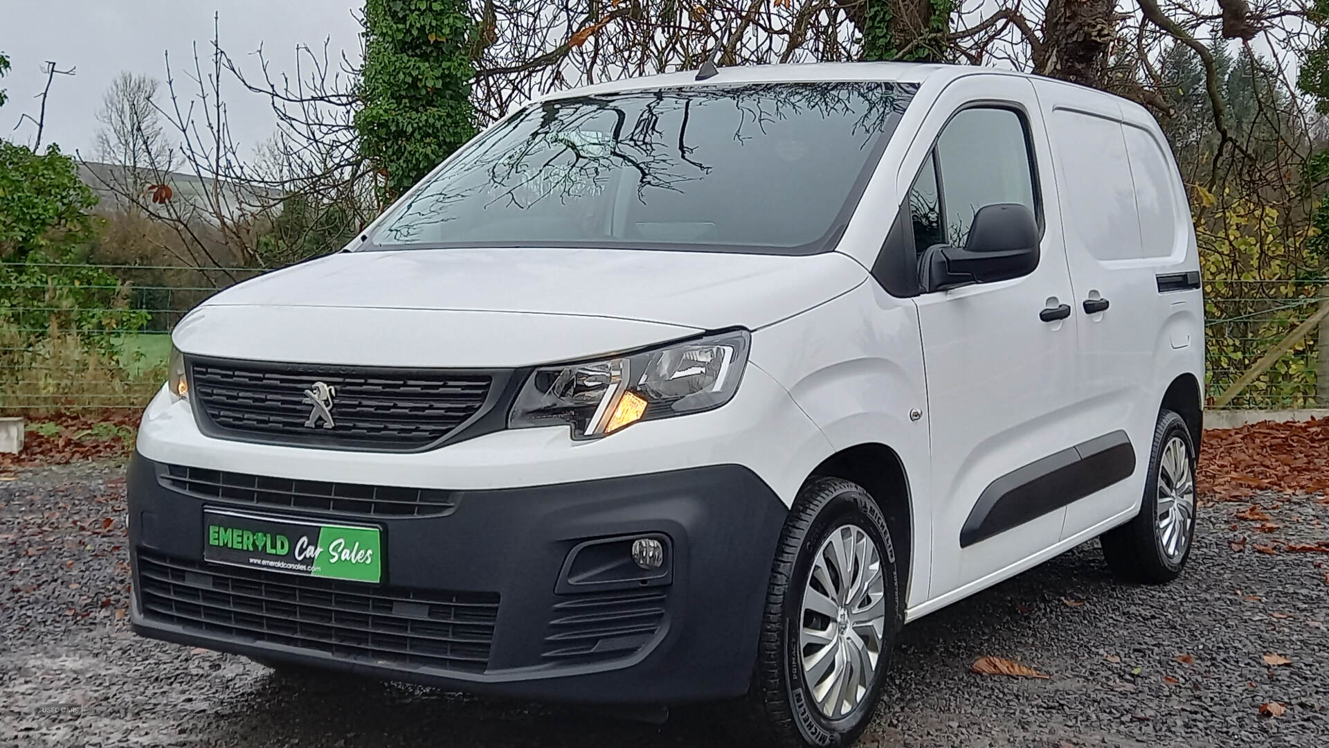 Peugeot Partner STANDARD DIESEL in Tyrone