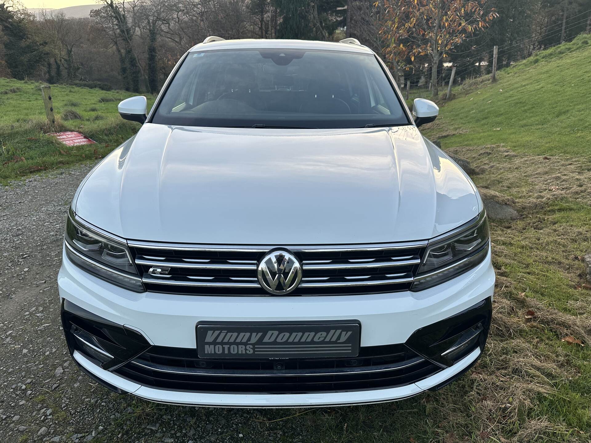 Volkswagen Tiguan ESTATE in Down