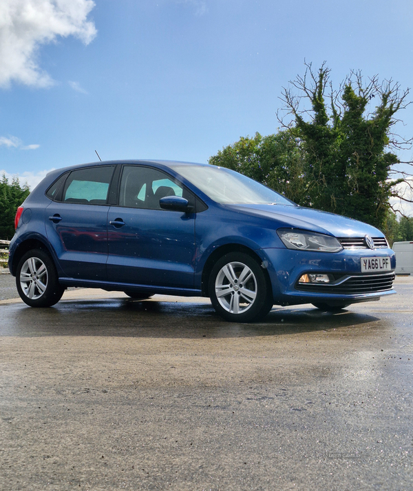 Volkswagen Polo HATCHBACK in Fermanagh