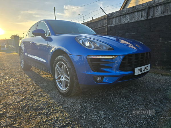 Porsche Macan DIESEL ESTATE in Down