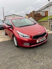 Kia Ceed DIESEL SPORTSWAGON in Down