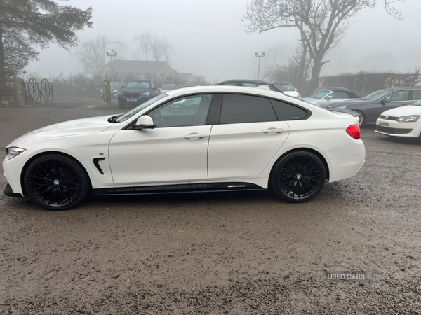 BMW 4 Series GRAN DIESEL COUPE in Antrim