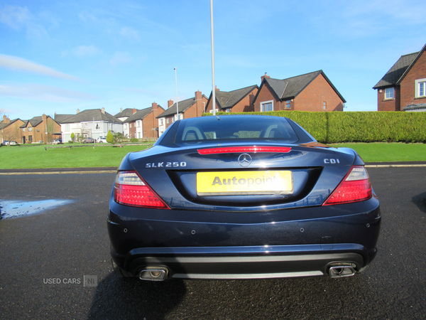 Mercedes SLK-Class DIESEL ROADSTER in Antrim