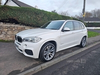 BMW X5 3.0 30d M Sport Auto xDrive Euro 6 (s/s) 5dr in Down