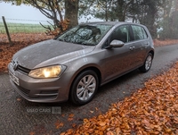 Volkswagen Golf 1.6 TDI 105 SE 5dr in Antrim