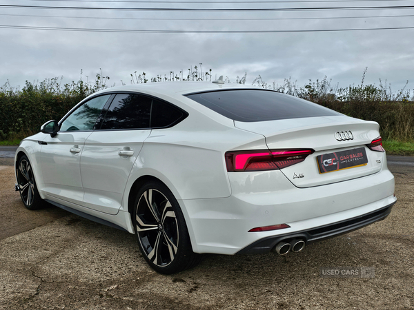 Audi A5 DIESEL SPORTBACK in Tyrone