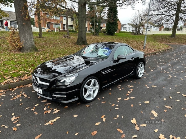 Mercedes SLK-Class DIESEL ROADSTER in Antrim