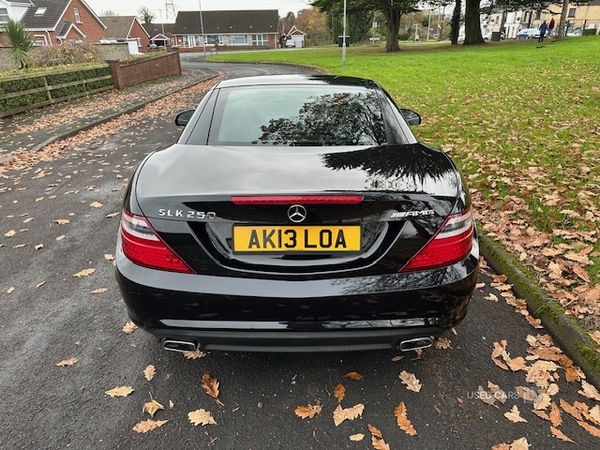 Mercedes SLK-Class DIESEL ROADSTER in Antrim