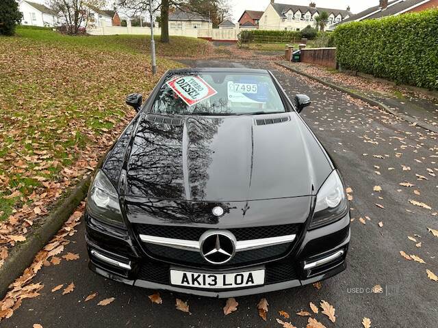 Mercedes SLK-Class DIESEL ROADSTER in Antrim