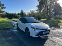 Toyota Corolla 2.0 VVT-h Excel CVT Euro 6 (s/s) 5dr in Fermanagh