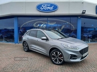 Ford Kuga ST-Line X Edition in Derry / Londonderry