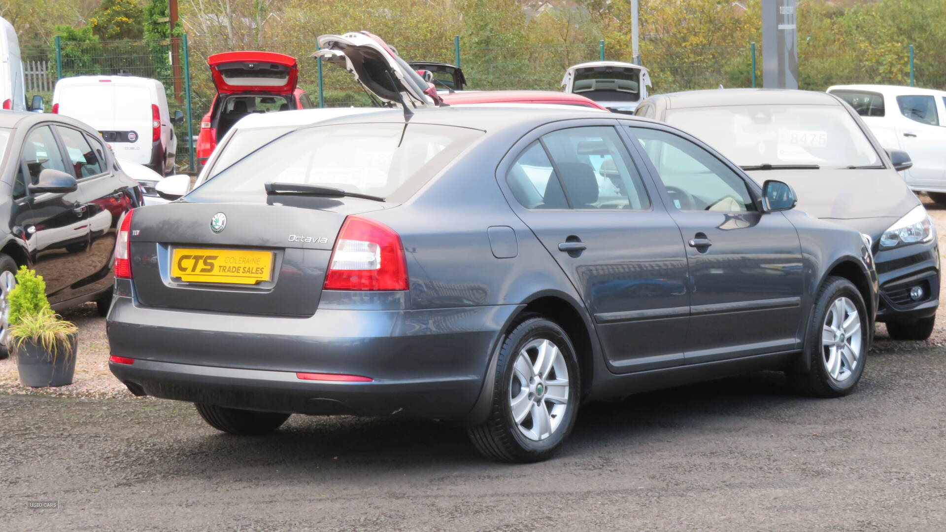 Skoda Octavia DIESEL HATCHBACK in Derry / Londonderry