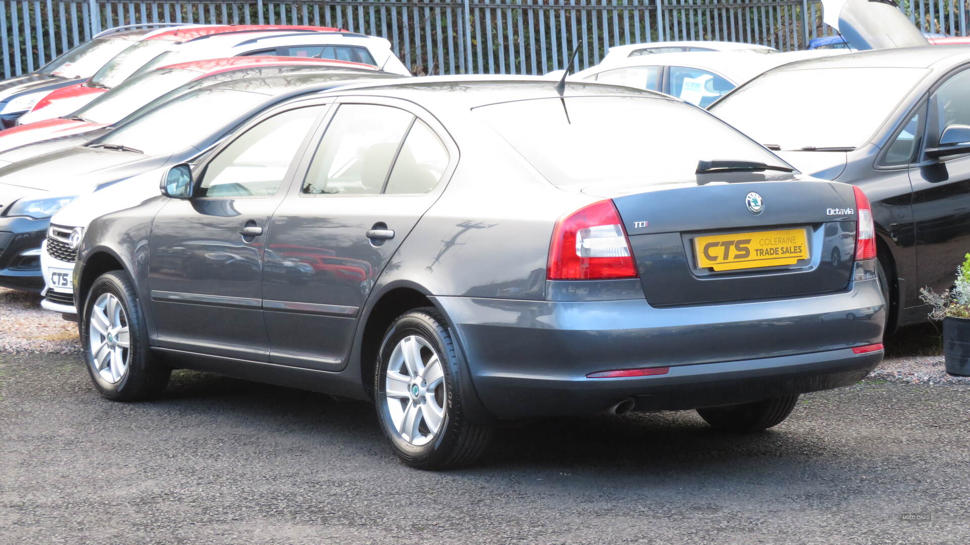 Skoda Octavia DIESEL HATCHBACK in Derry / Londonderry