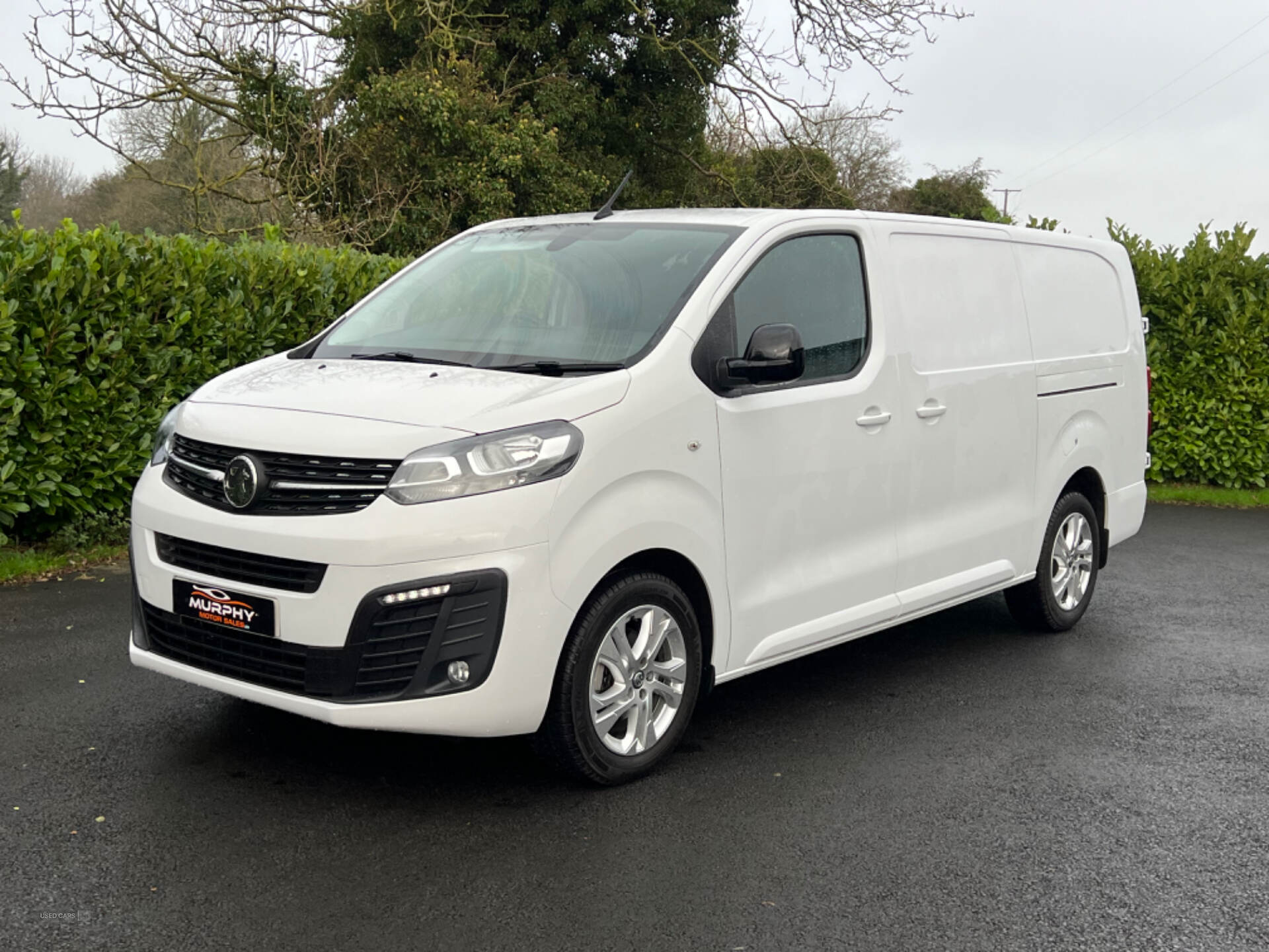 Vauxhall Vivaro L2 DIESEL in Down