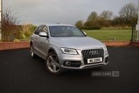 Audi Q5 S Line Plus in Antrim