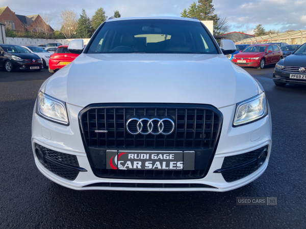 Audi Q5 ESTATE SPECIAL EDITIONS in Antrim