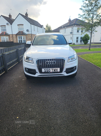 Audi Q5 2.0 TDI Quattro S Line Plus 5dr S Tronic in Antrim