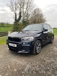 BMW X5 xDrive30d M Sport 5dr Auto in Armagh