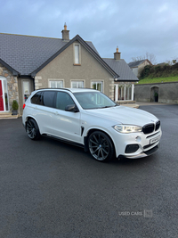 BMW X5 xDrive30d M Sport 5dr Auto in Down