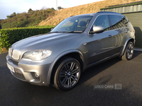 BMW X5 xDrive40d M Sport 5dr Auto in Down