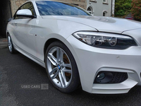 BMW 2 Series 218d [150] M Sport 2dr in Down