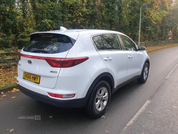 Kia Sportage DIESEL ESTATE in Armagh