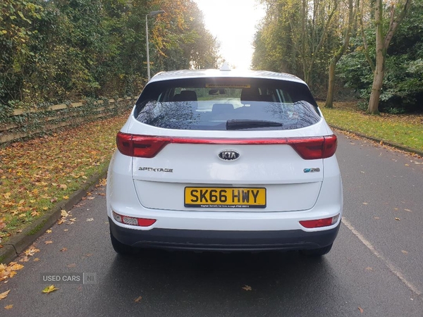 Kia Sportage DIESEL ESTATE in Armagh