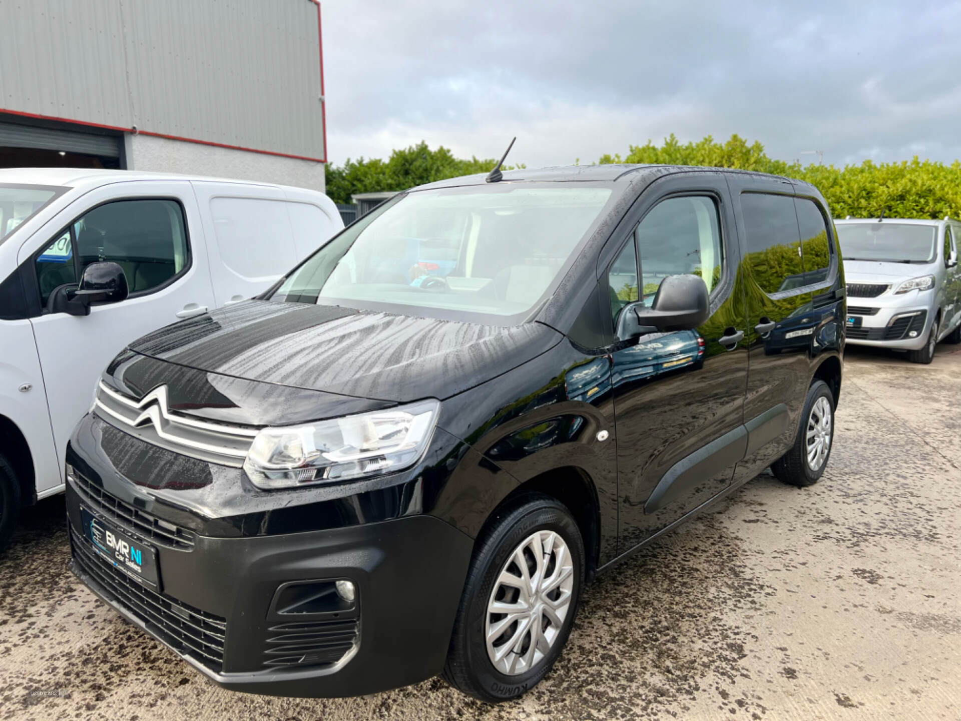 Citroen Berlingo M DIESEL in Tyrone