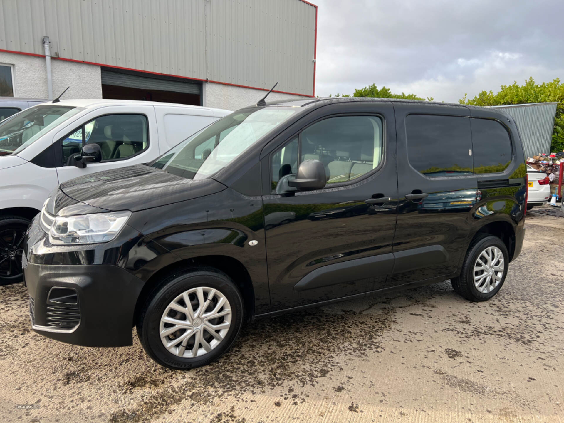 Citroen Berlingo M DIESEL in Tyrone