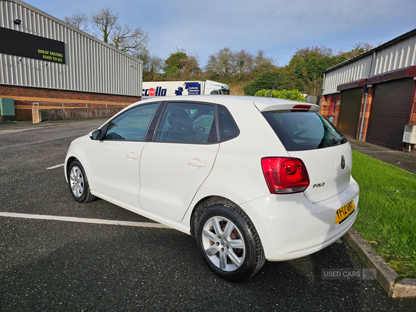 Volkswagen Polo HATCHBACK in Down