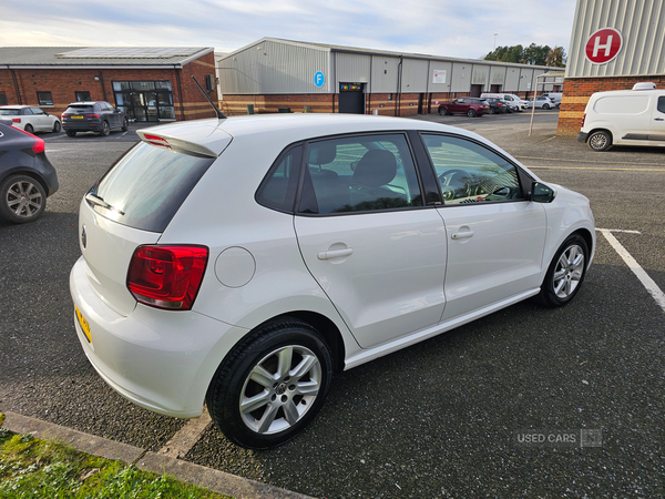 Volkswagen Polo HATCHBACK in Down