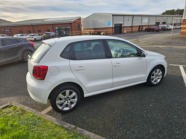 Volkswagen Polo HATCHBACK in Down