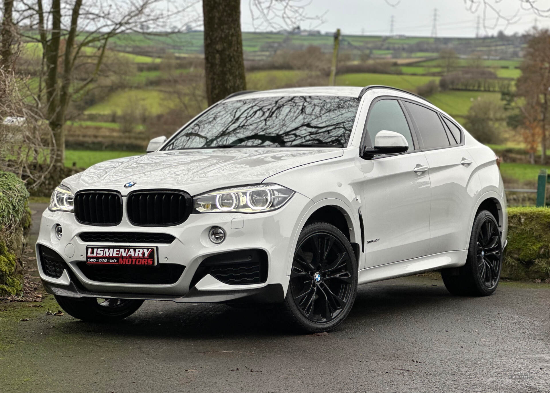 BMW X6 DIESEL ESTATE in Antrim