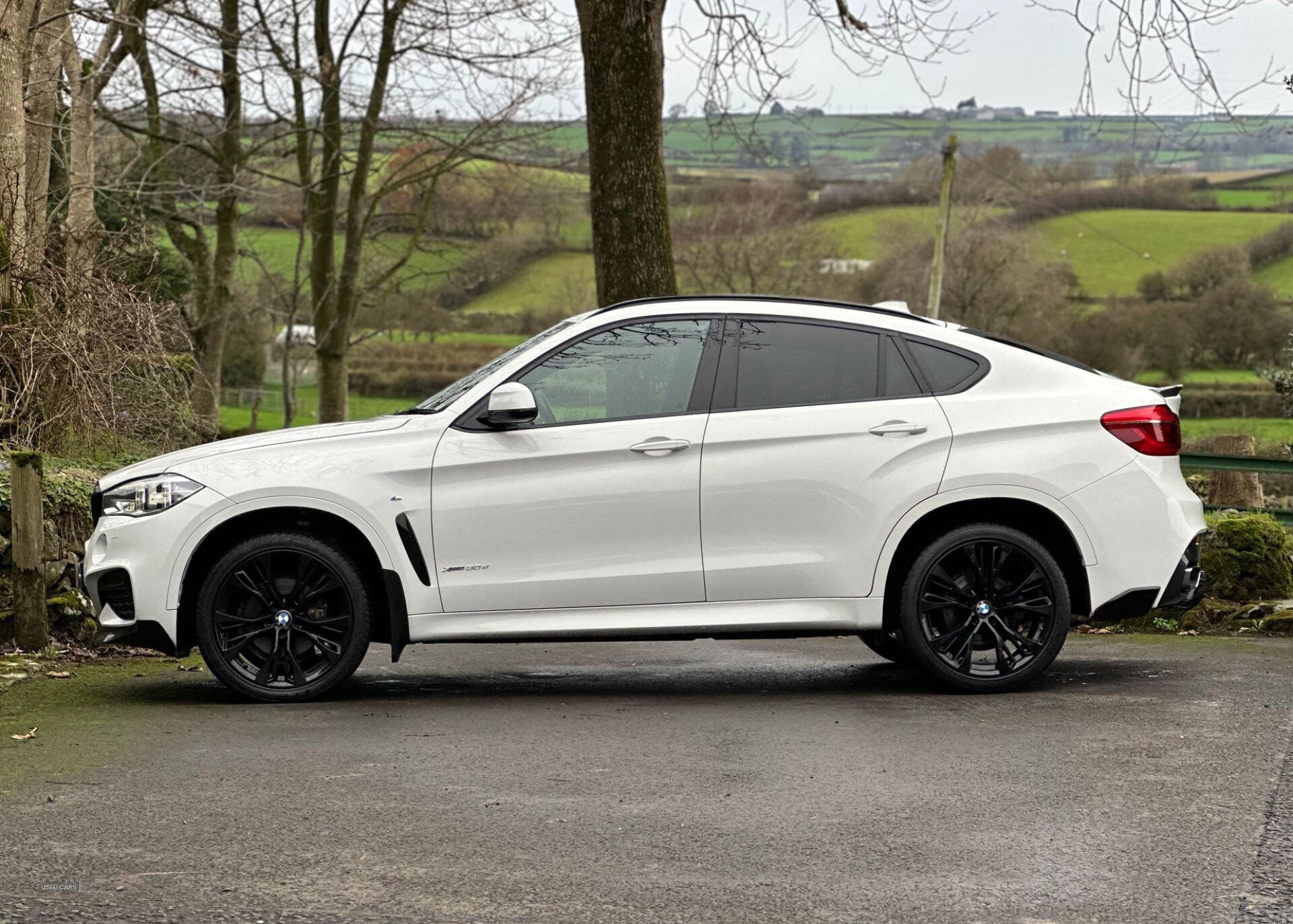 BMW X6 DIESEL ESTATE in Antrim