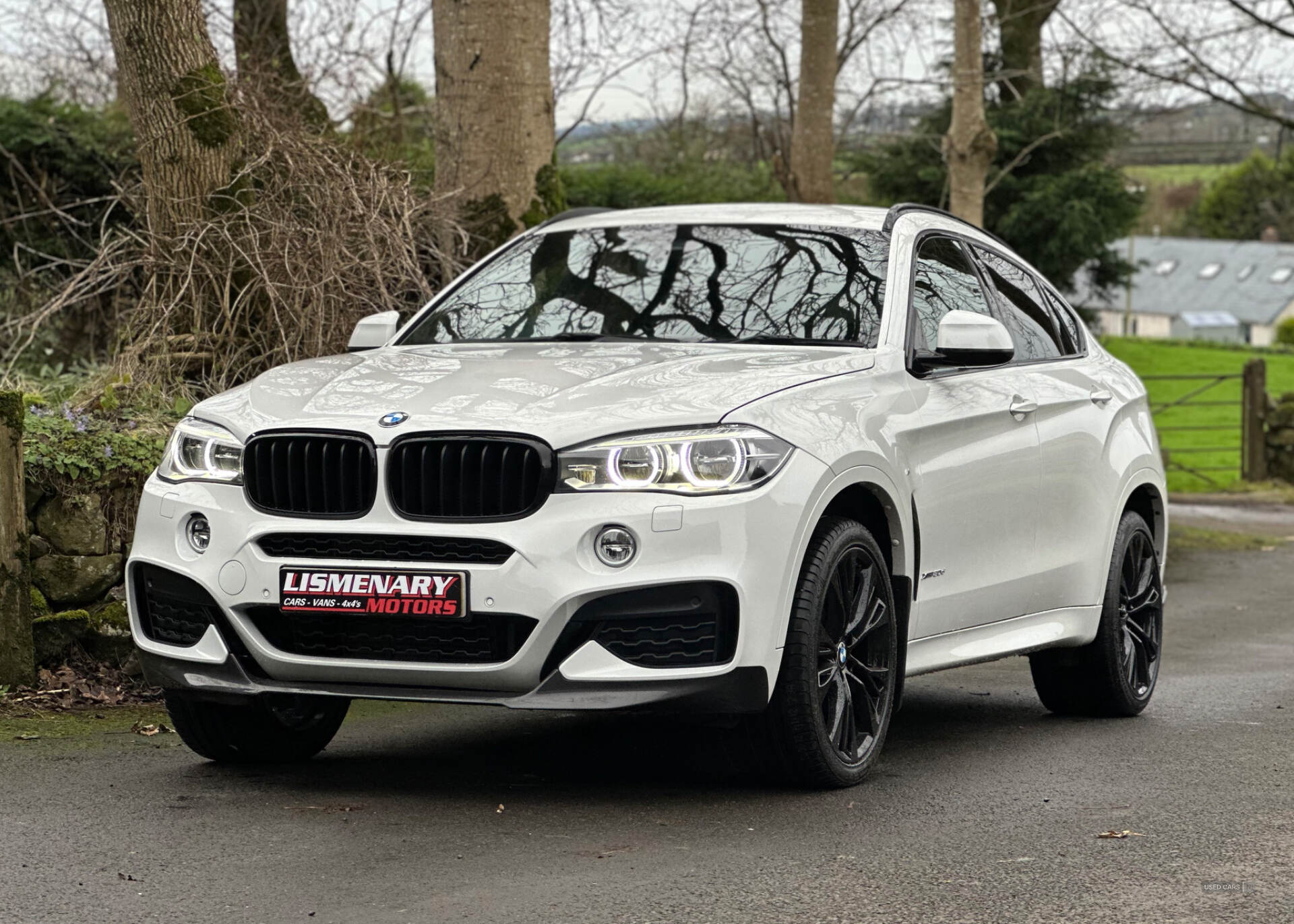 BMW X6 DIESEL ESTATE in Antrim