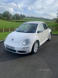 Volkswagen Beetle 1.9 TDi 3dr in Armagh