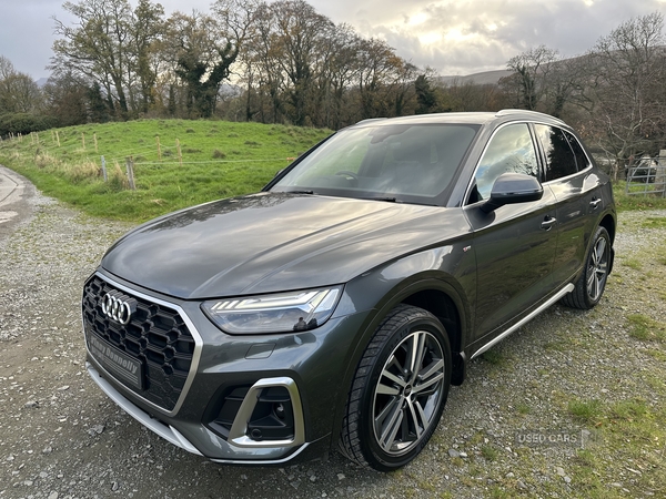 Audi Q5 DIESEL ESTATE in Down