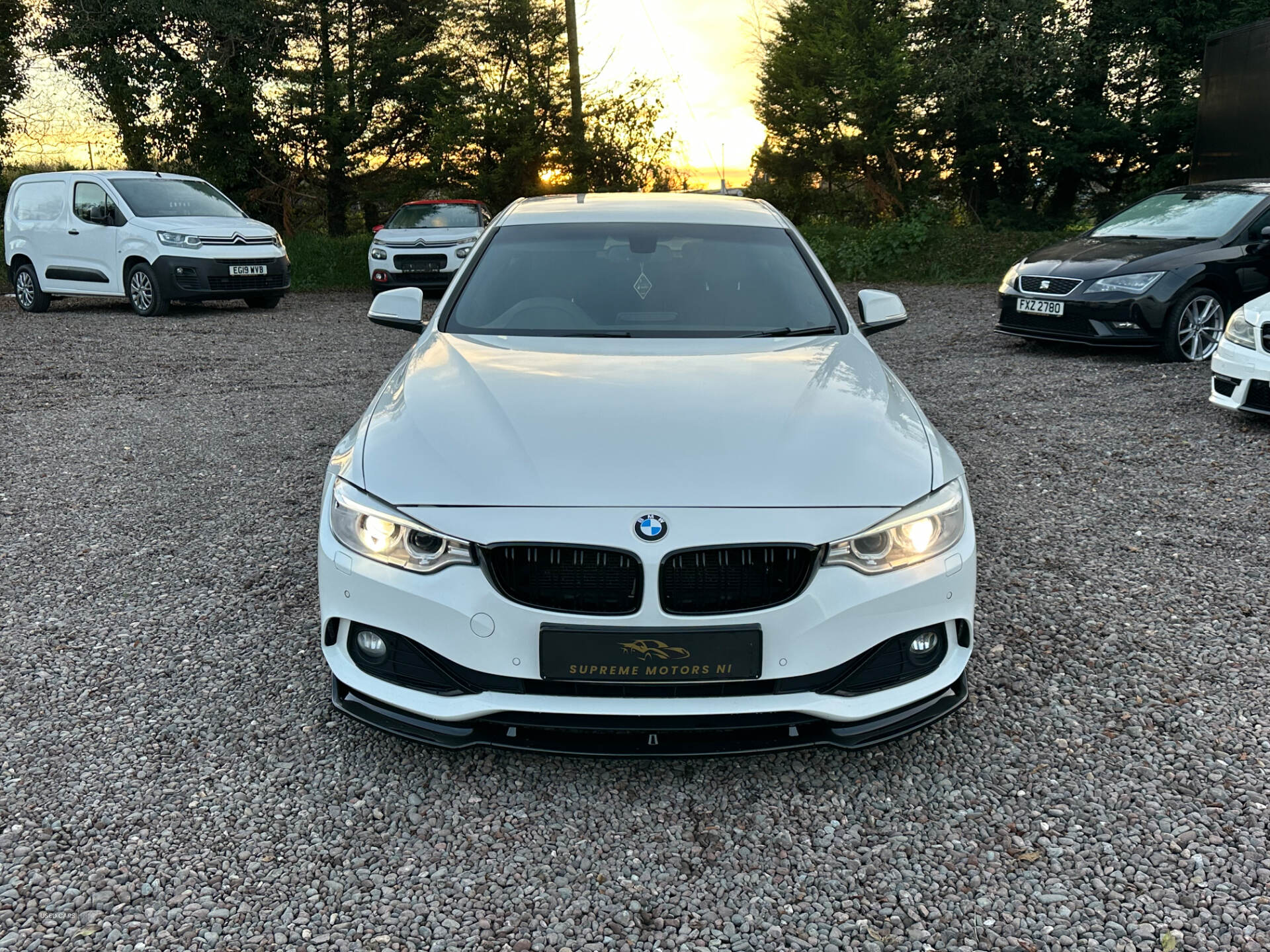 BMW 4 Series GRAN DIESEL COUPE in Tyrone