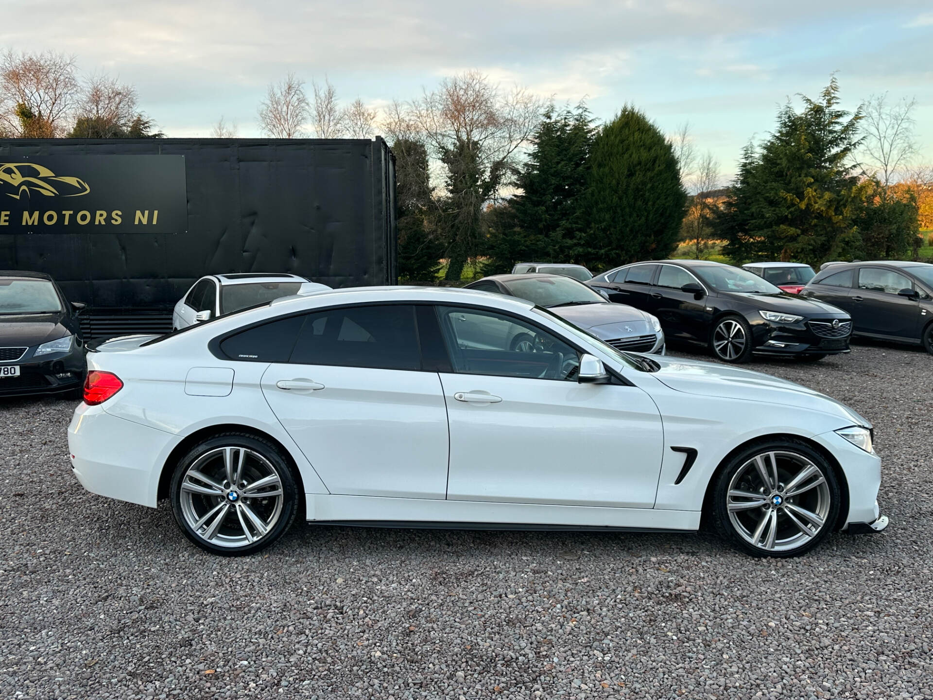 BMW 4 Series GRAN DIESEL COUPE in Tyrone