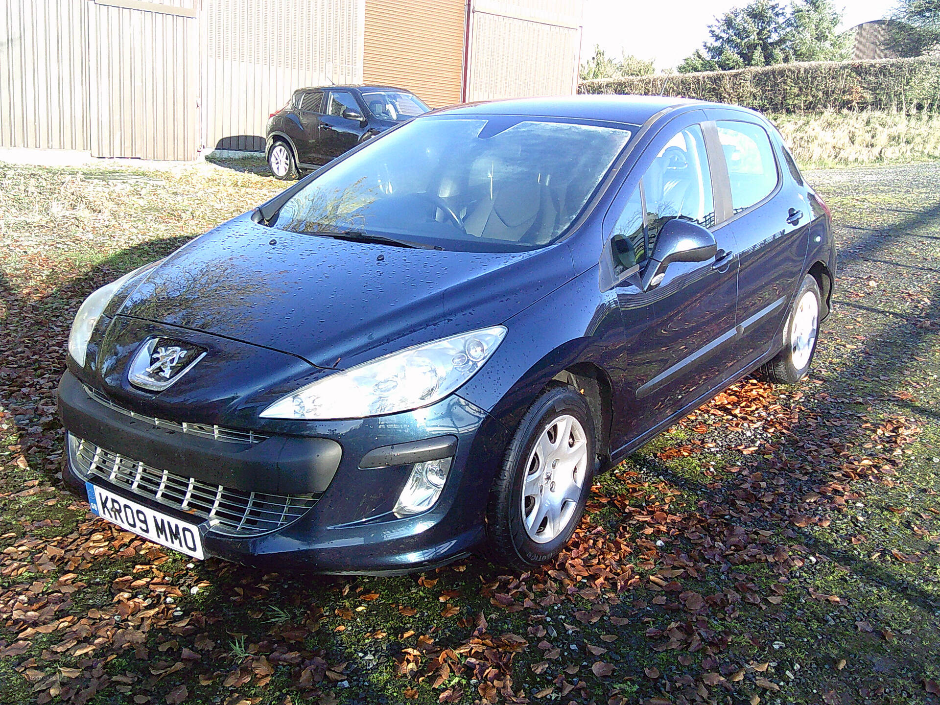 Peugeot 308 DIESEL HATCHBACK in Fermanagh