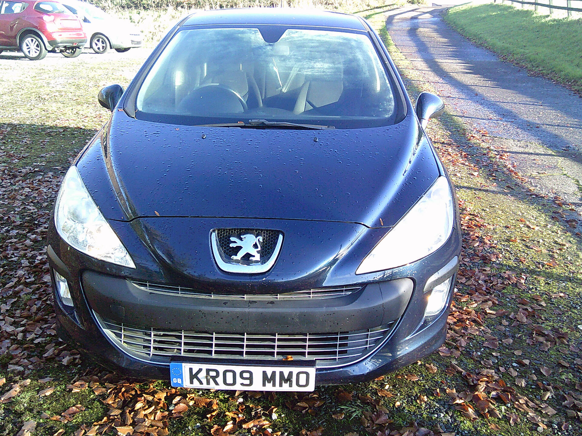 Peugeot 308 DIESEL HATCHBACK in Fermanagh