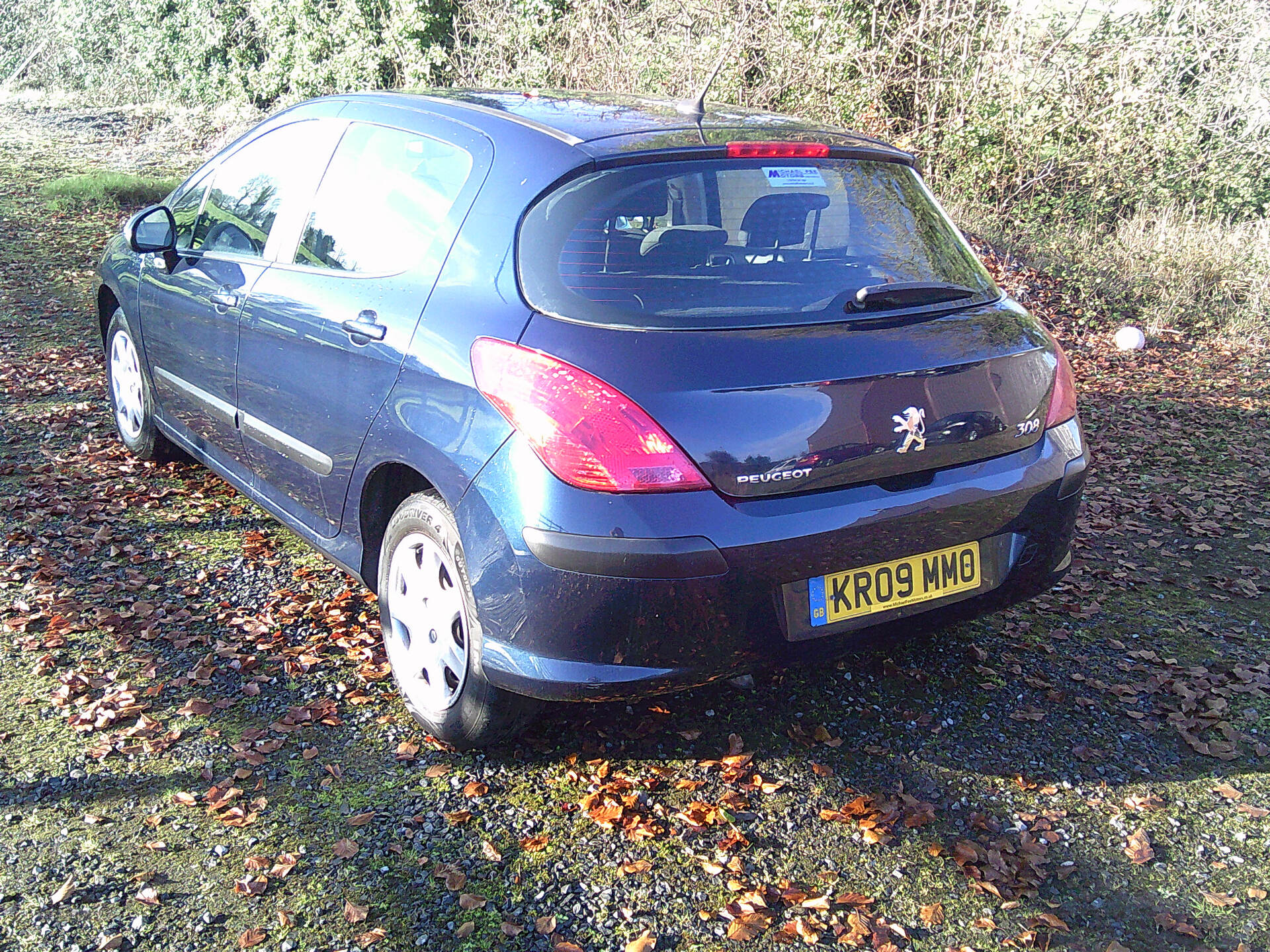 Peugeot 308 DIESEL HATCHBACK in Fermanagh