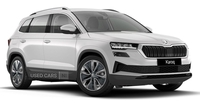 Skoda Karoq SE L 2.0 TDI 116PS 7-SPD DSG AUTO 2WD in Armagh