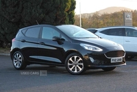 Ford Fiesta 1.0 EcoBoost 100 Trend 5dr in Down