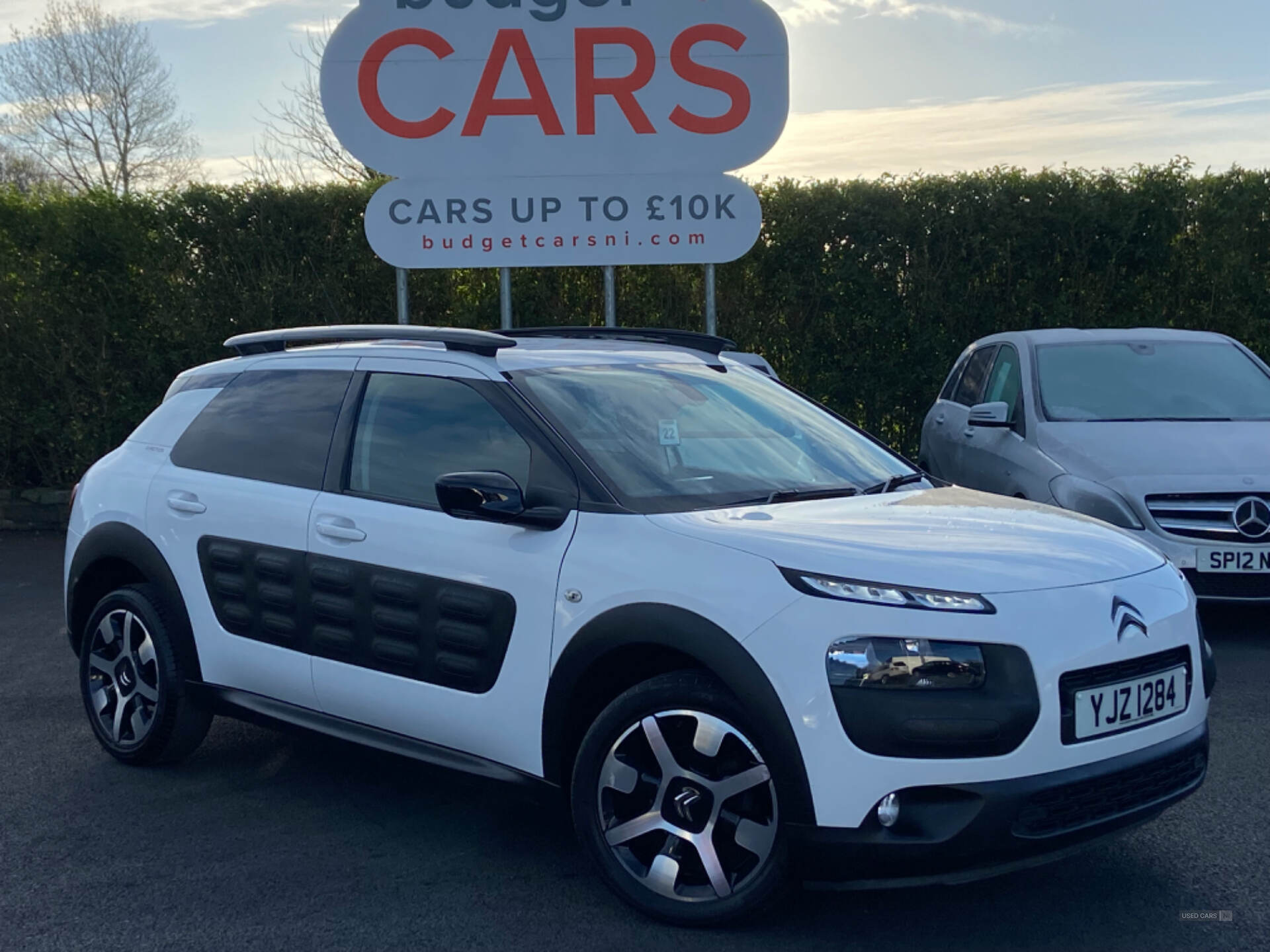 Citroen C4 Cactus HATCHBACK in Down