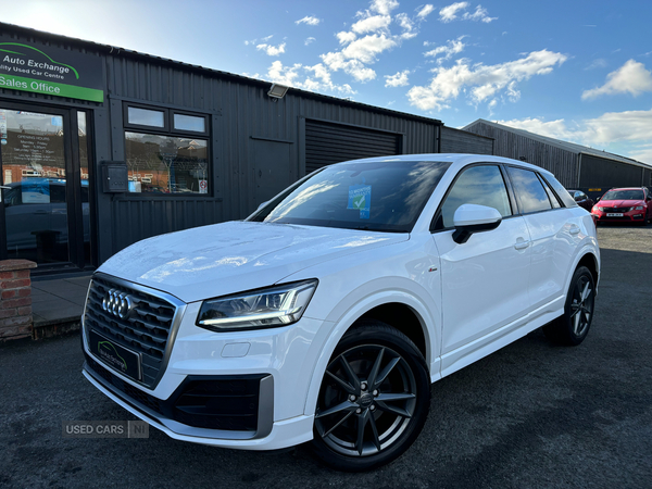 Audi Q2 ESTATE in Down