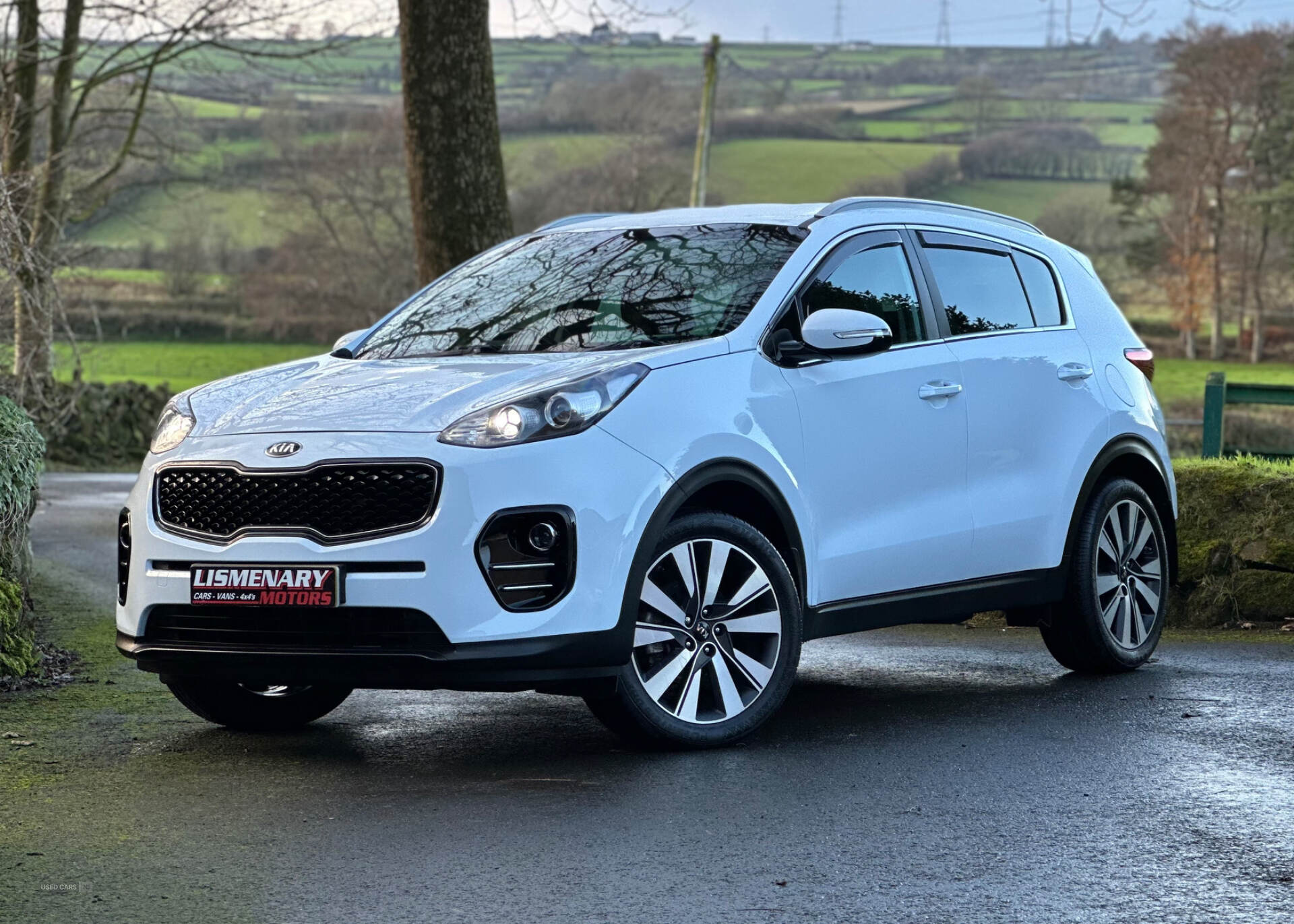 Kia Sportage DIESEL ESTATE in Antrim